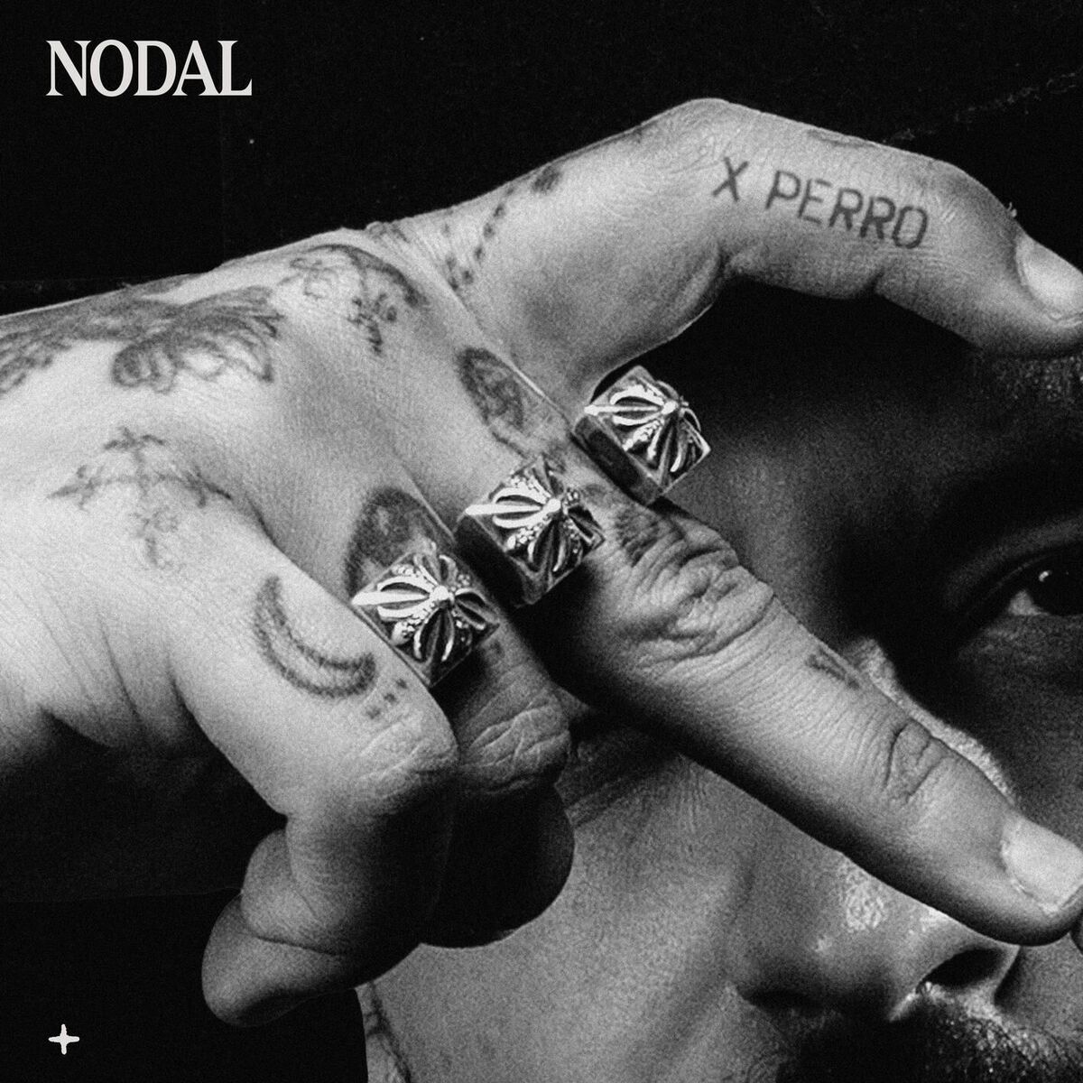 Album cover of X Perro
