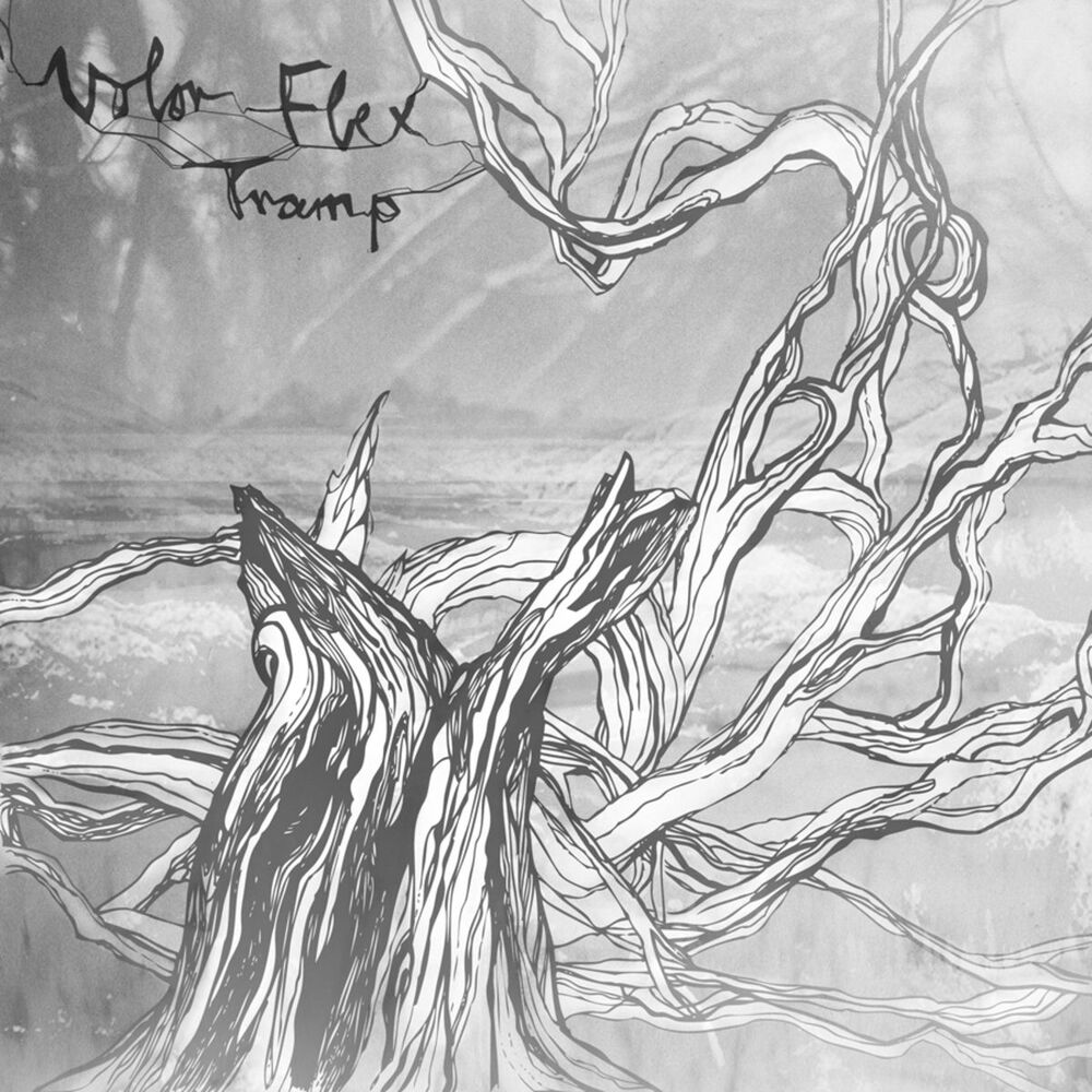 Picture of Tramp