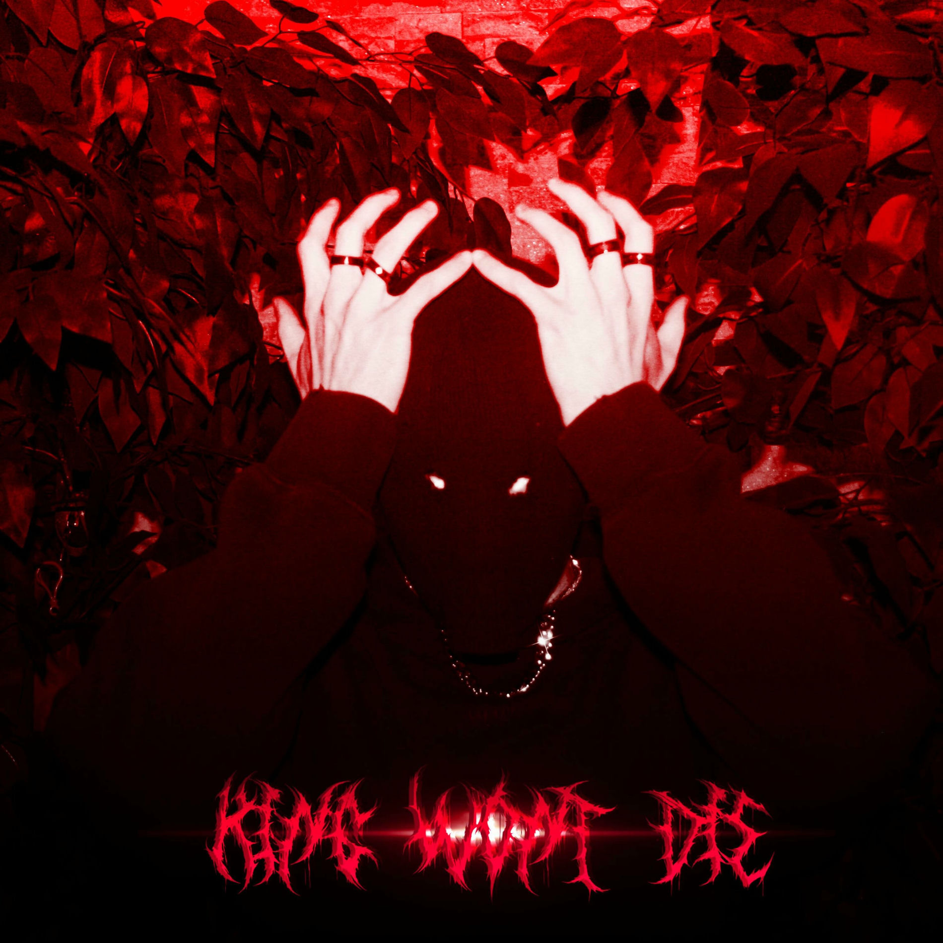 Album cover of KING WON'T DIE