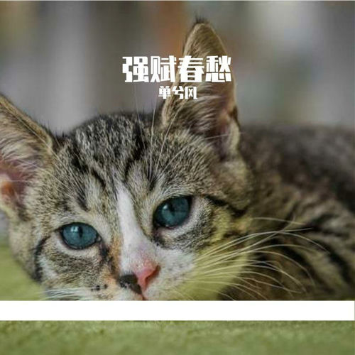 强赋春愁