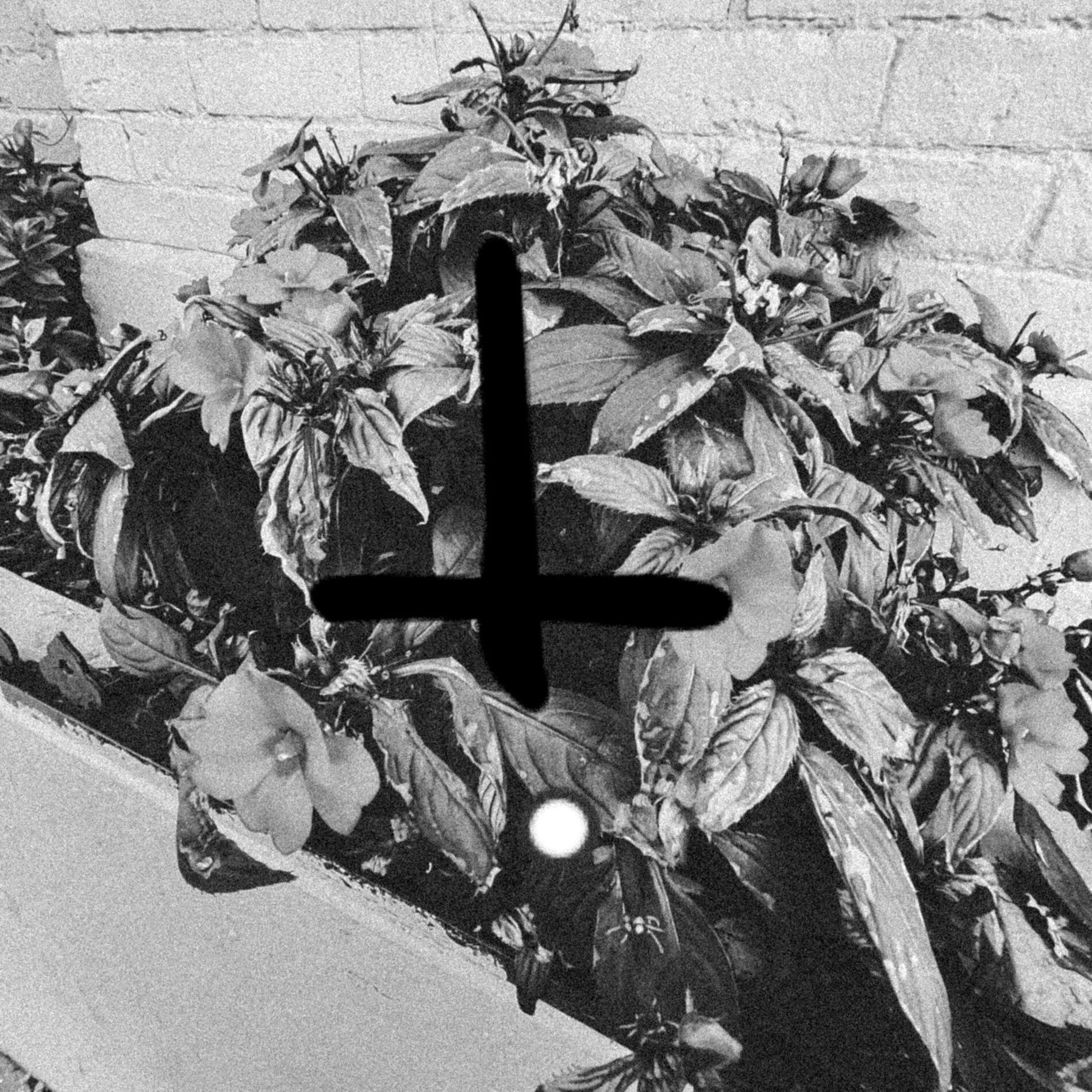 Album cover of MOURNING MUSIC