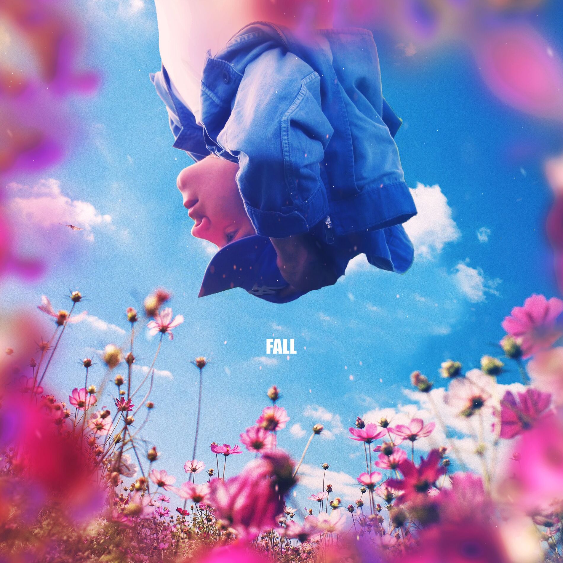 Album cover of fall