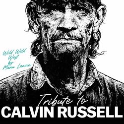 Cover of Wild Wild West