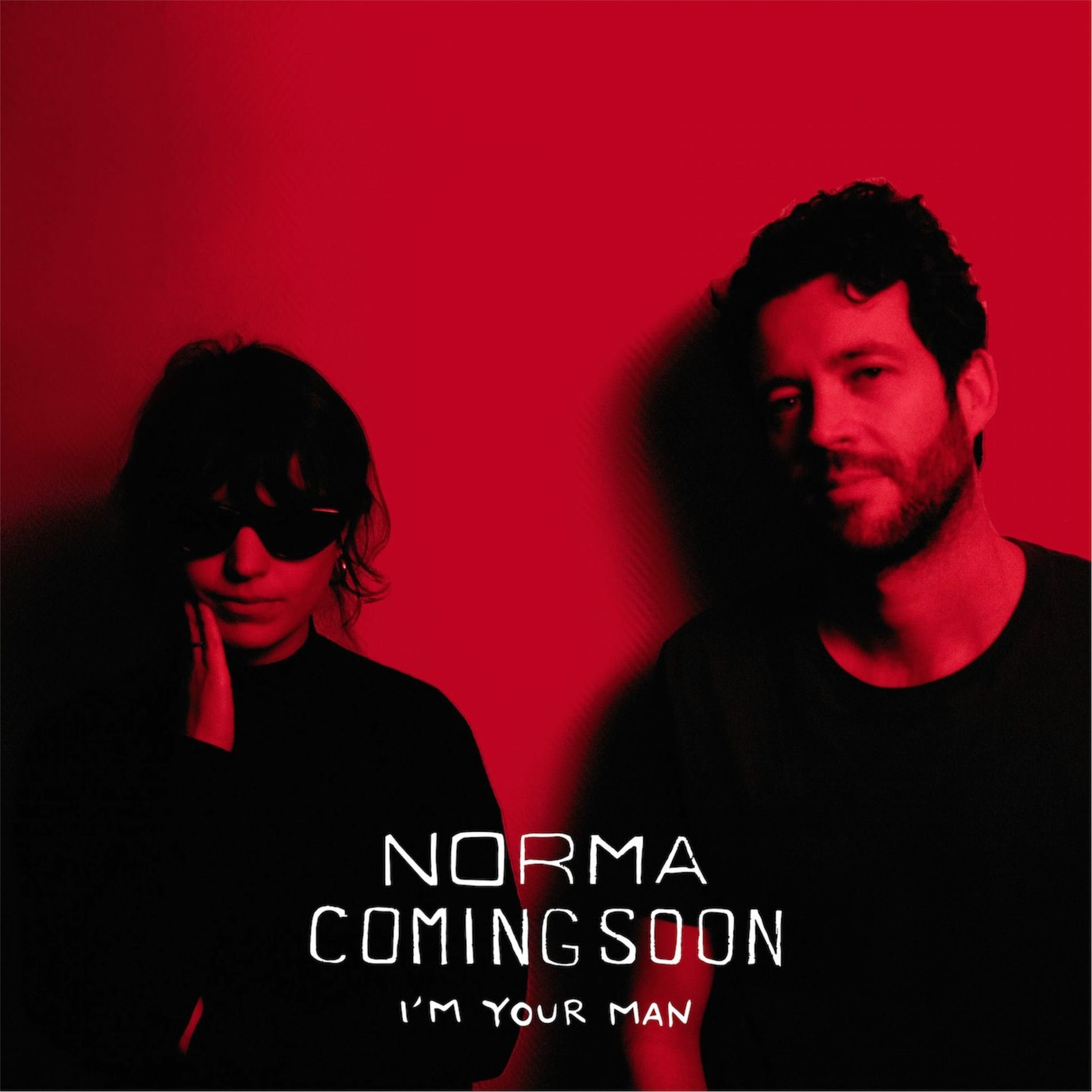 Album cover of I'm Your Man