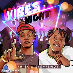 Cover of Vibes of the Night