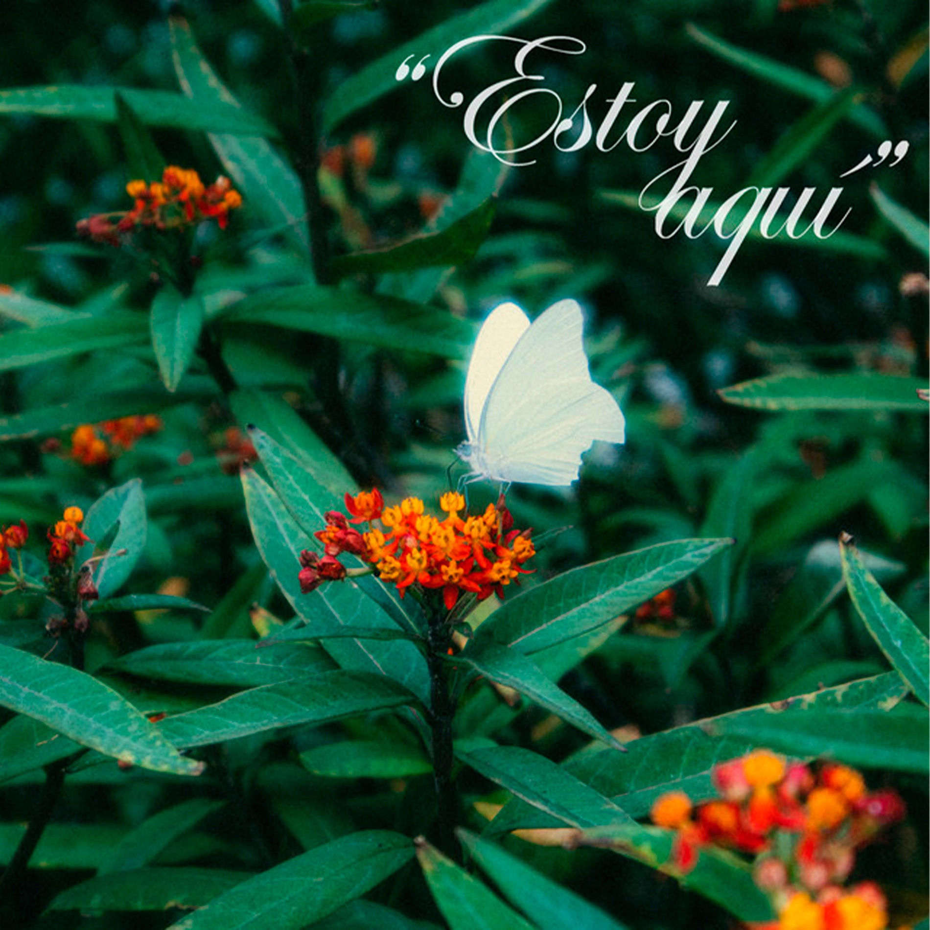 Album cover of Estoy Aquí