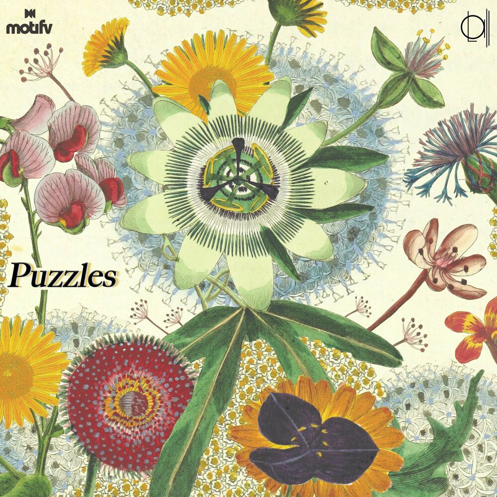 Picture of Puzzles