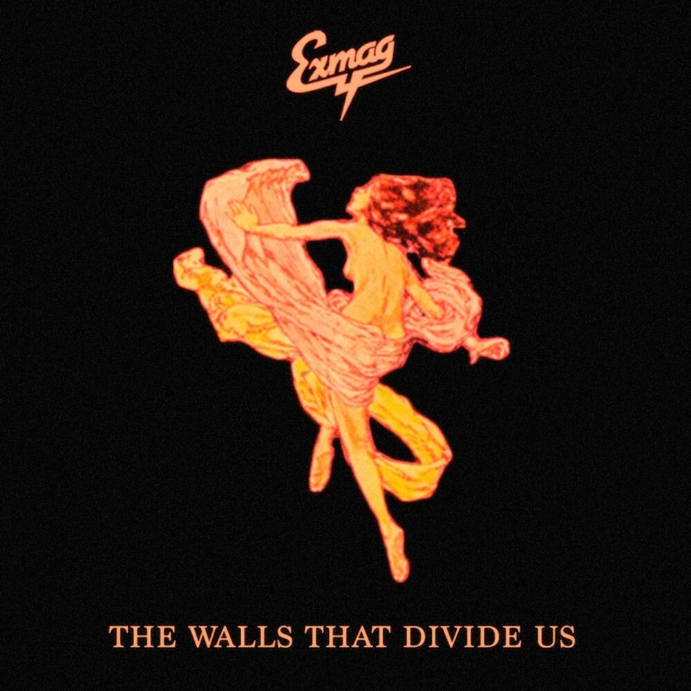 Picture of The Walls That Divide Us