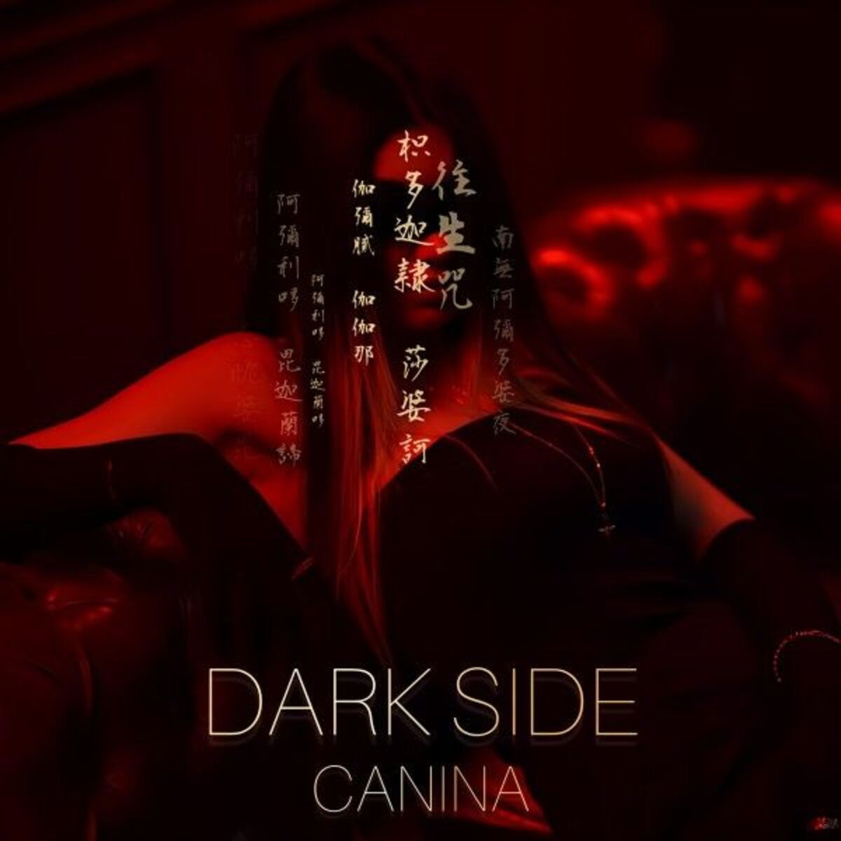Album cover of Dark Side