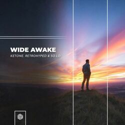 Cover of Wide Awake