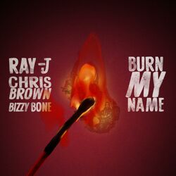 Cover of Burn My Name