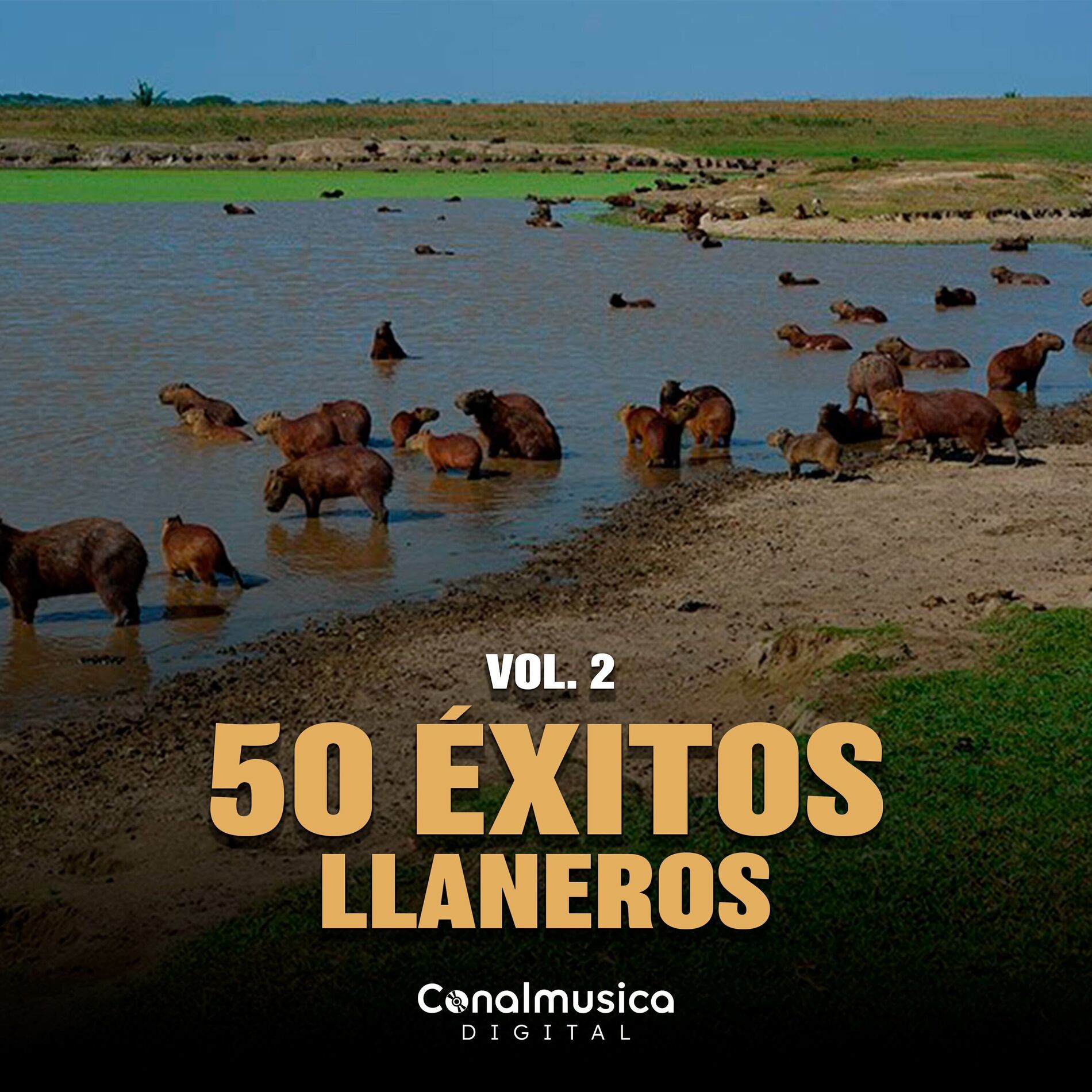 Album cover of 50 Éxitos Llaneros (Vol. 2)