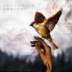 Cover of Abounding Ambient 3