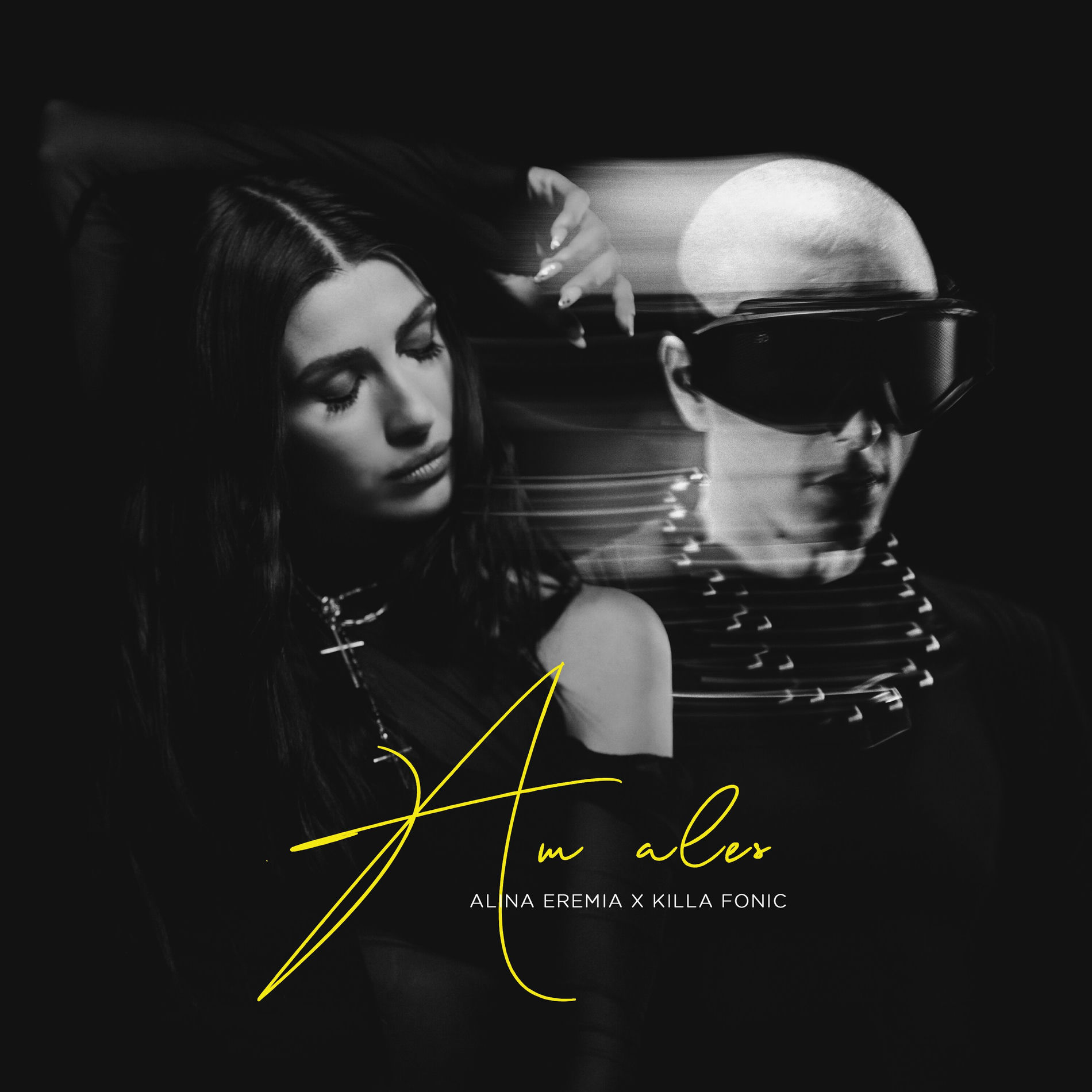 Album cover of Am ales