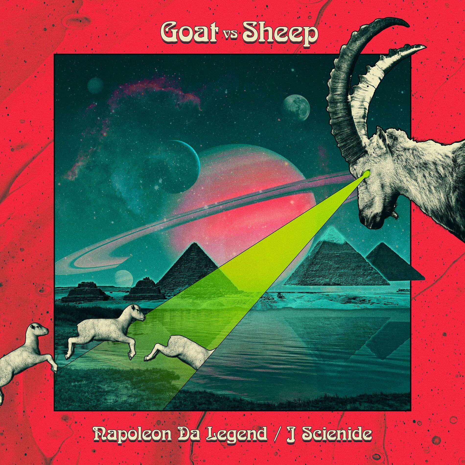 Album cover of Goat vs Sheep