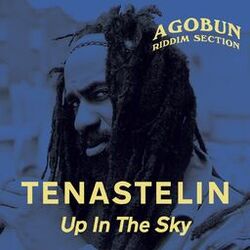 Cover of Up in the Sky