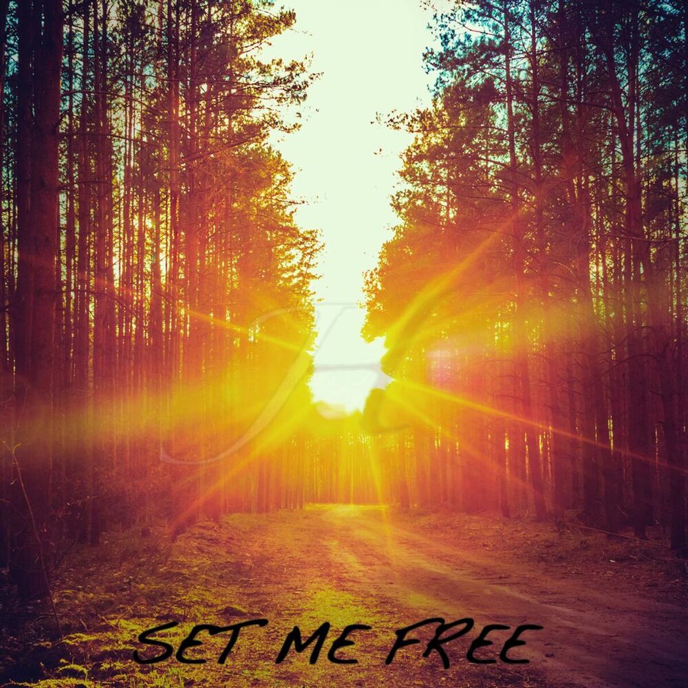 Picture of Set Me Free