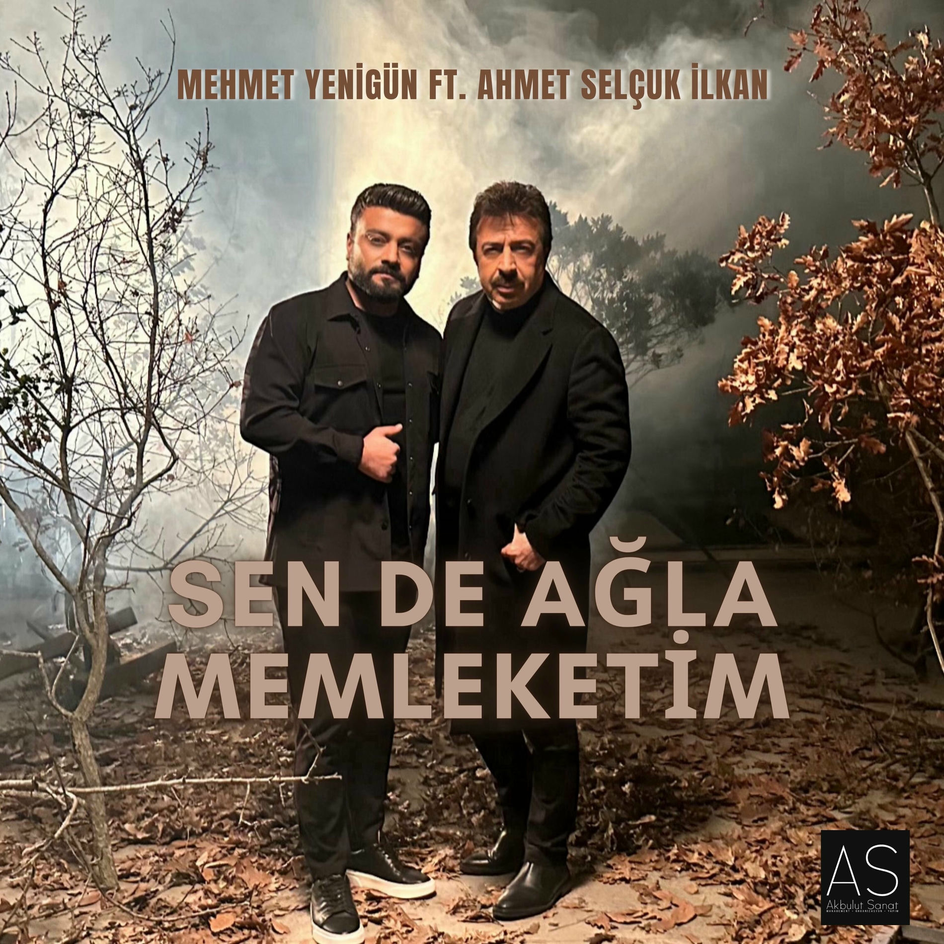 Album cover of Sen De Ağla Memleketim