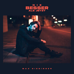 Cover of Nie besser als jetzt