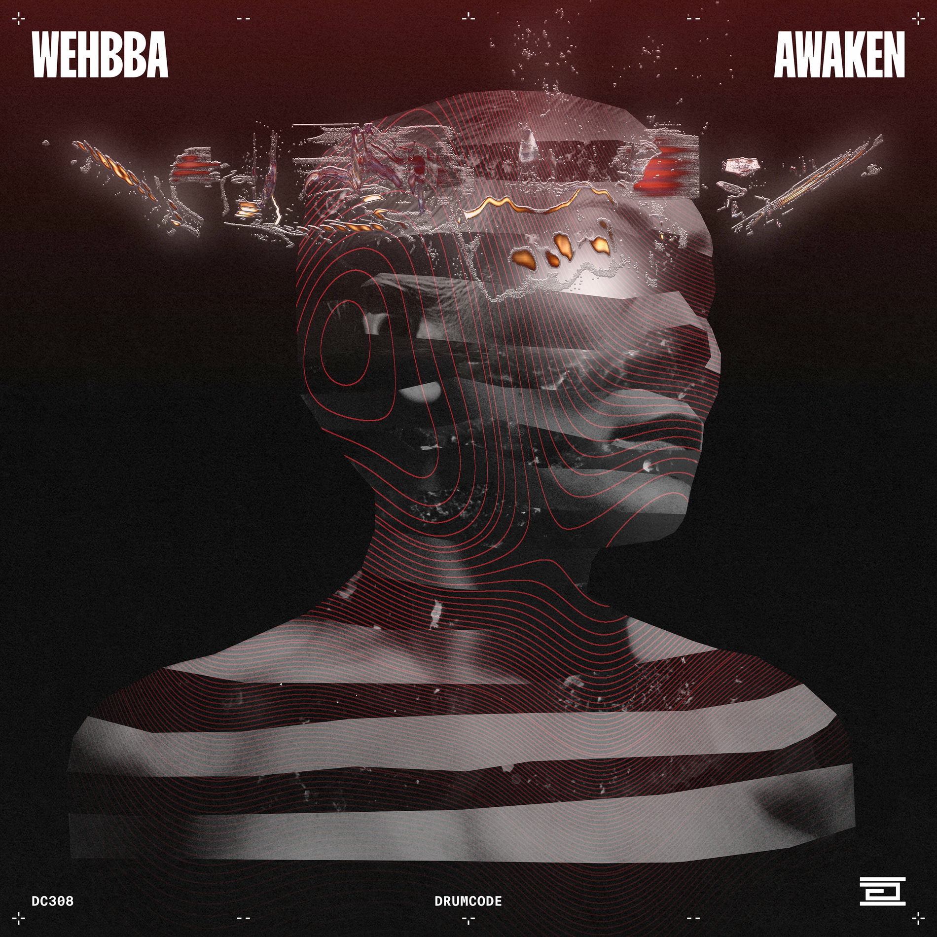 Album cover of Awaken