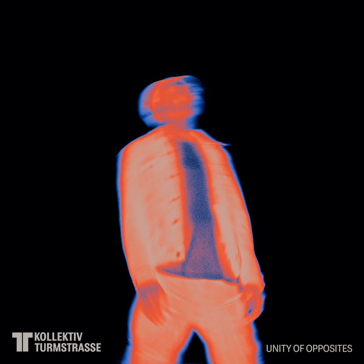 Album cover of Unity of Opposites