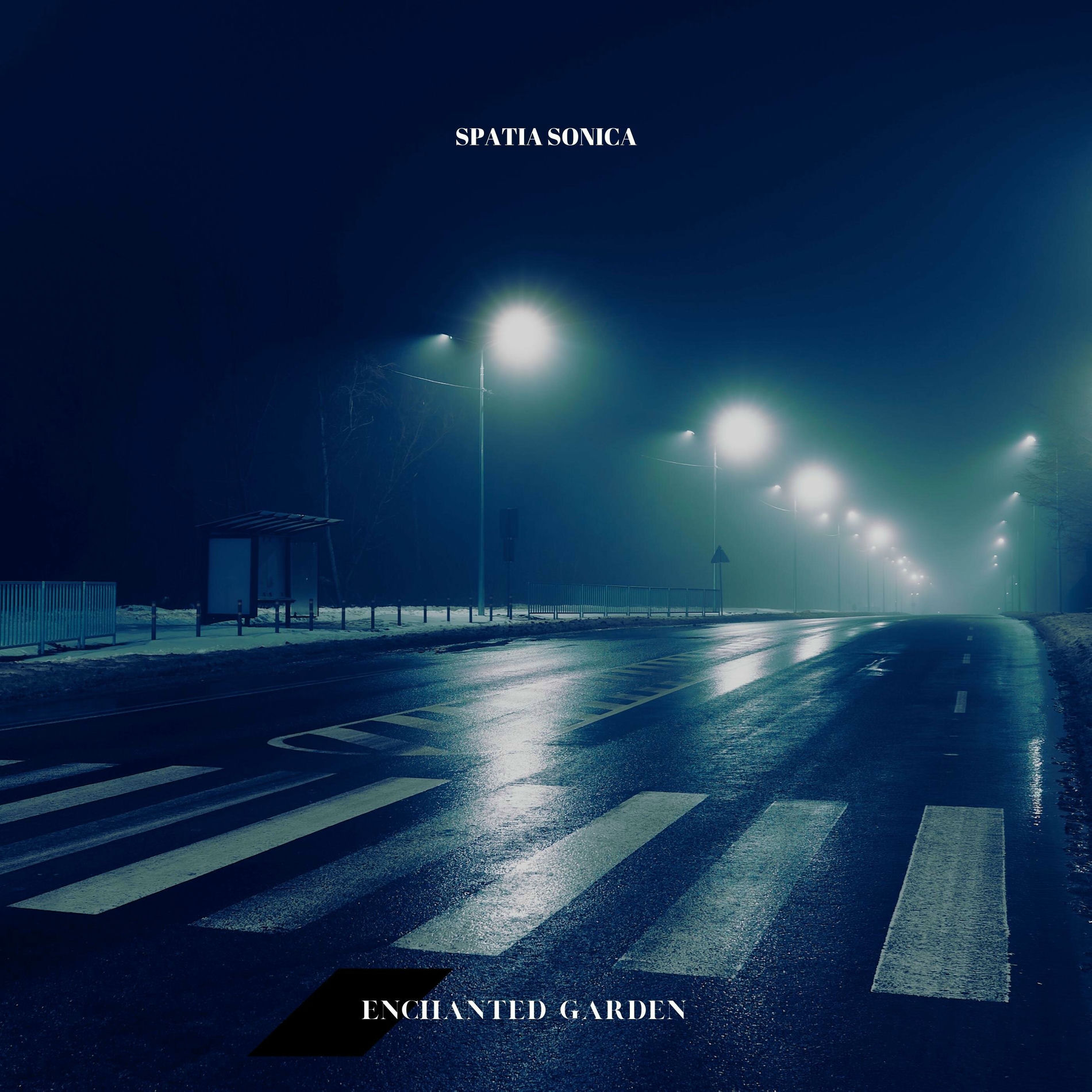 Album cover of Echoes in the Void