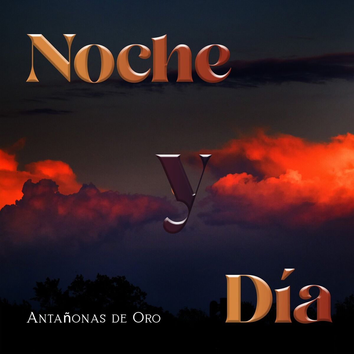 Album cover of Antañonas de Oro - Noche y Dia