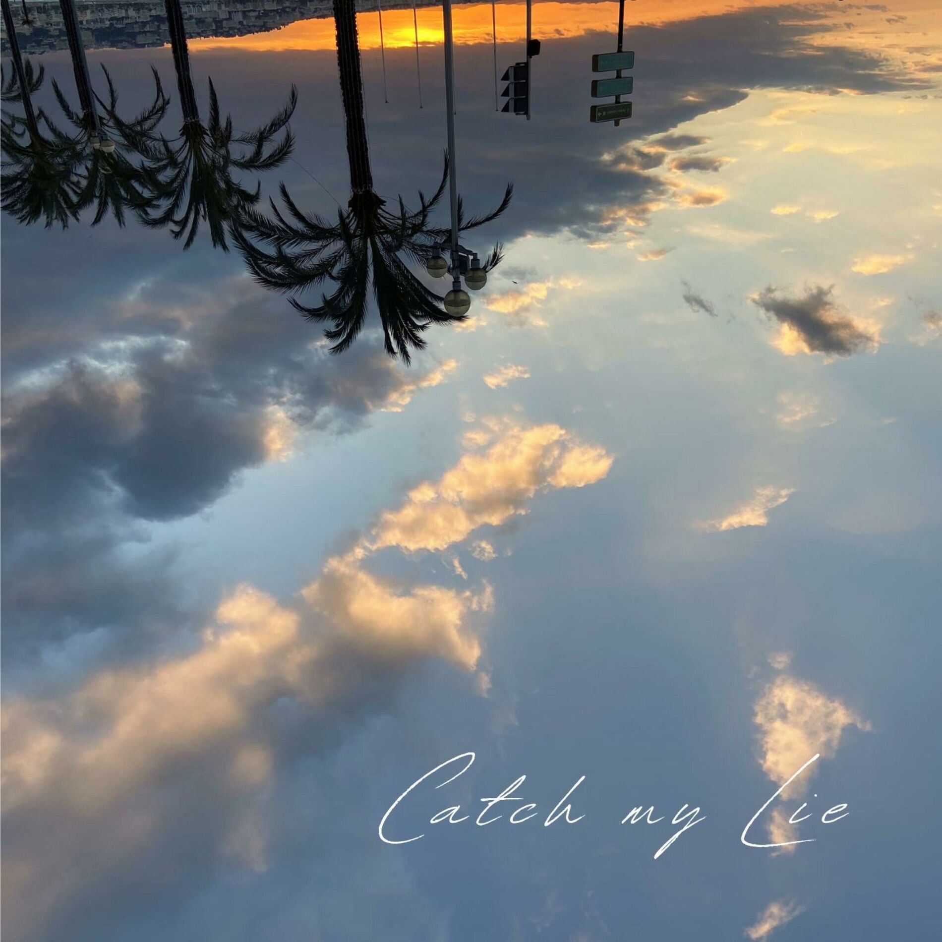 Album cover of Catch my Lie
