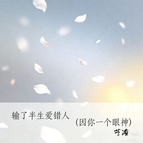 输了半生爱错人 (因你一个眼神)