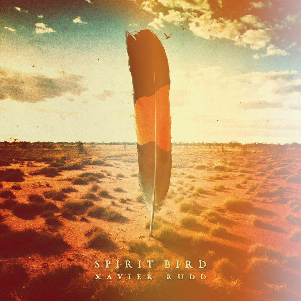 Picture of Spirit Bird