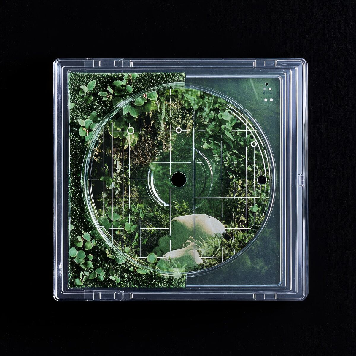 Album cover of Gleeful Gardens