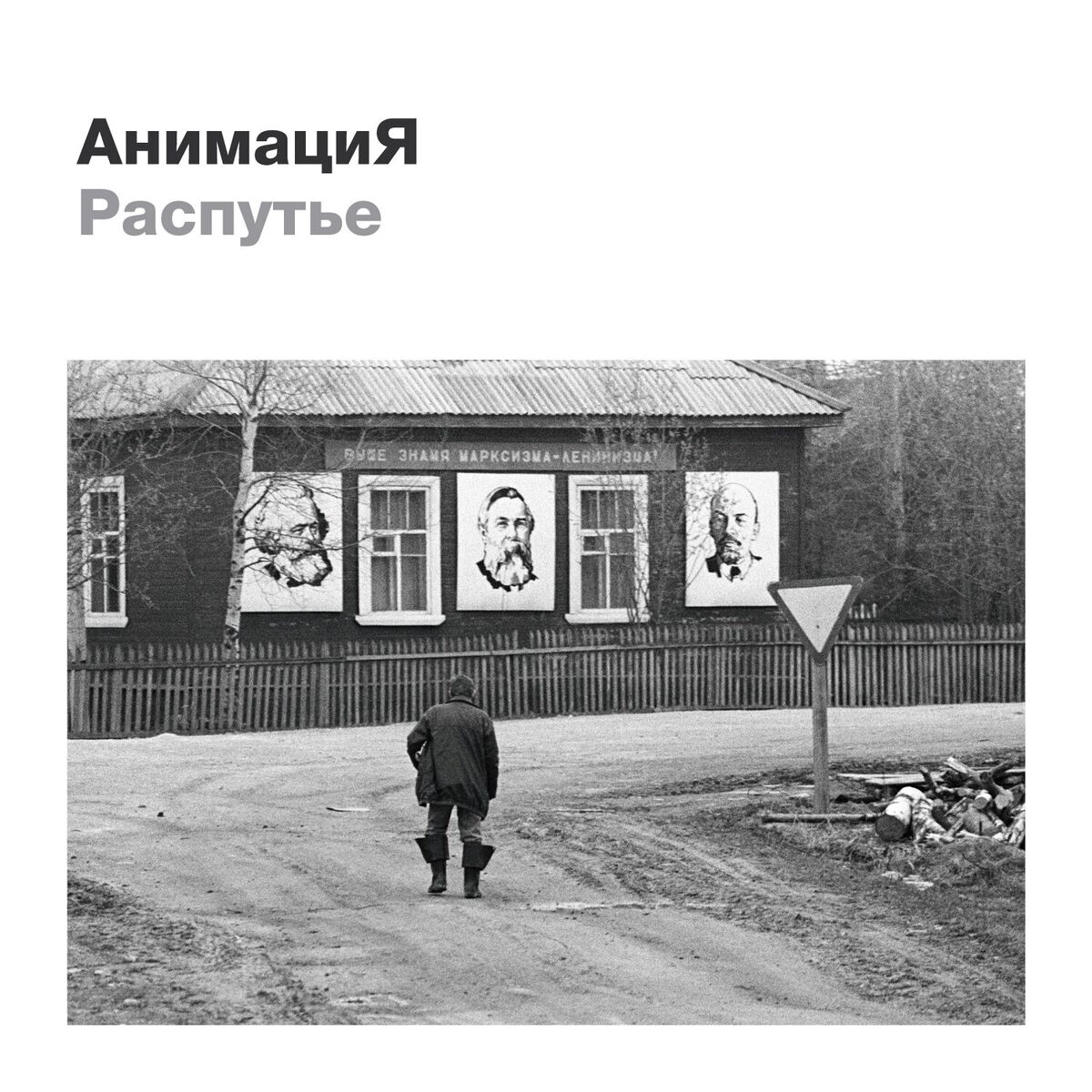 Album cover of Журавли