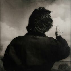 Cover of THE SOLUTION