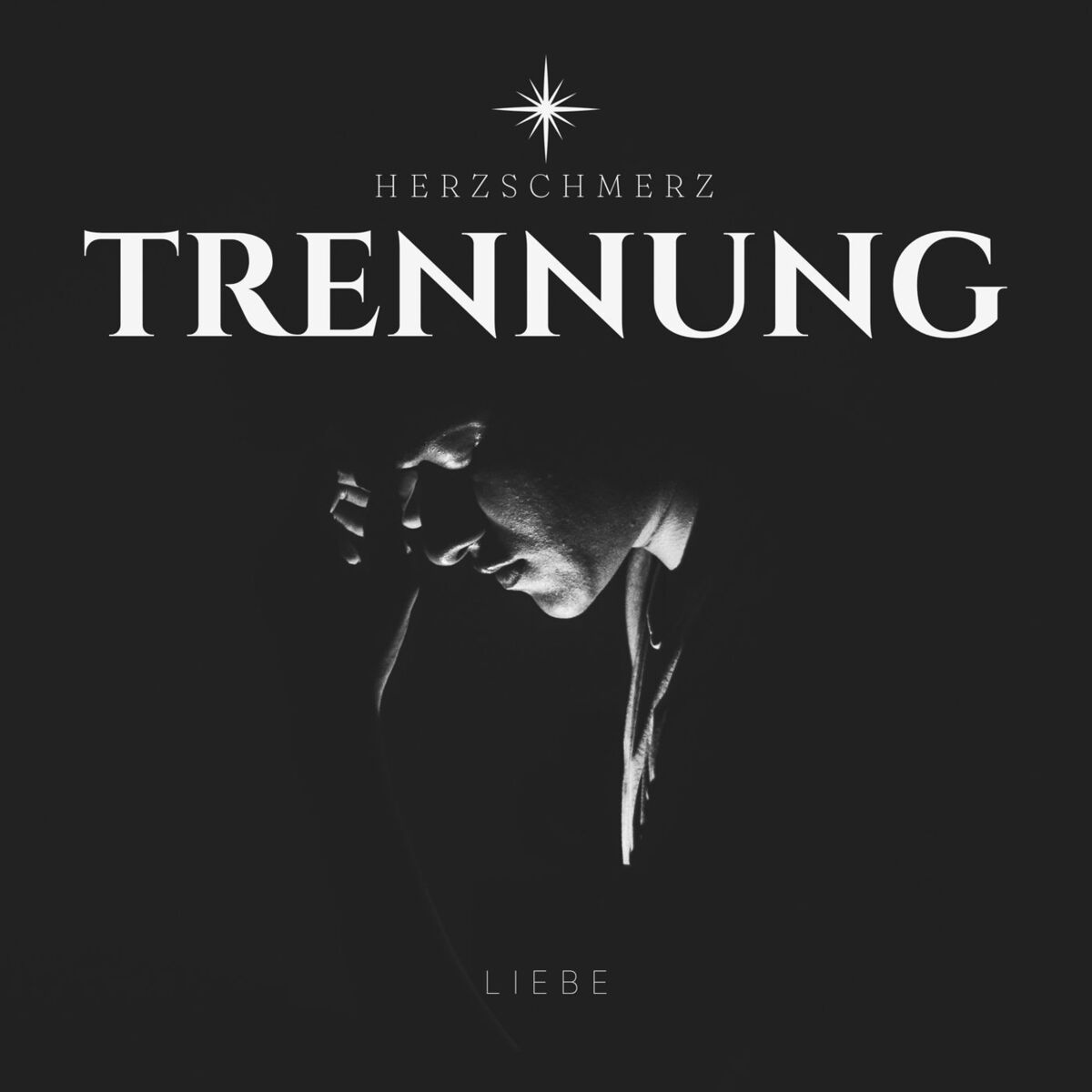 Album cover of Trennung - Liebe - Herzschmerz