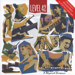 Cover of A Physical Presence