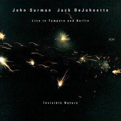Cover of Invisible Nature