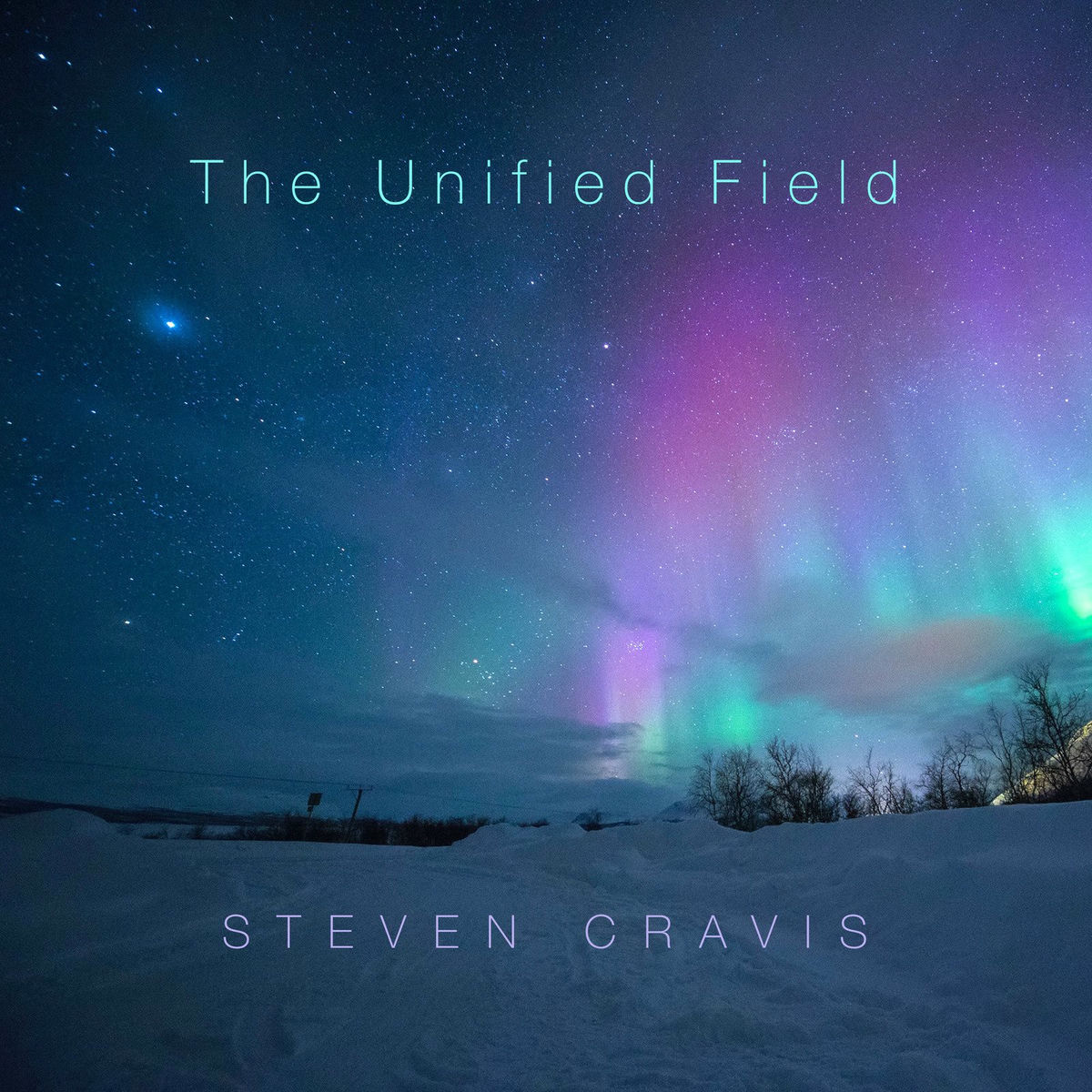 Album cover of The Unified Field