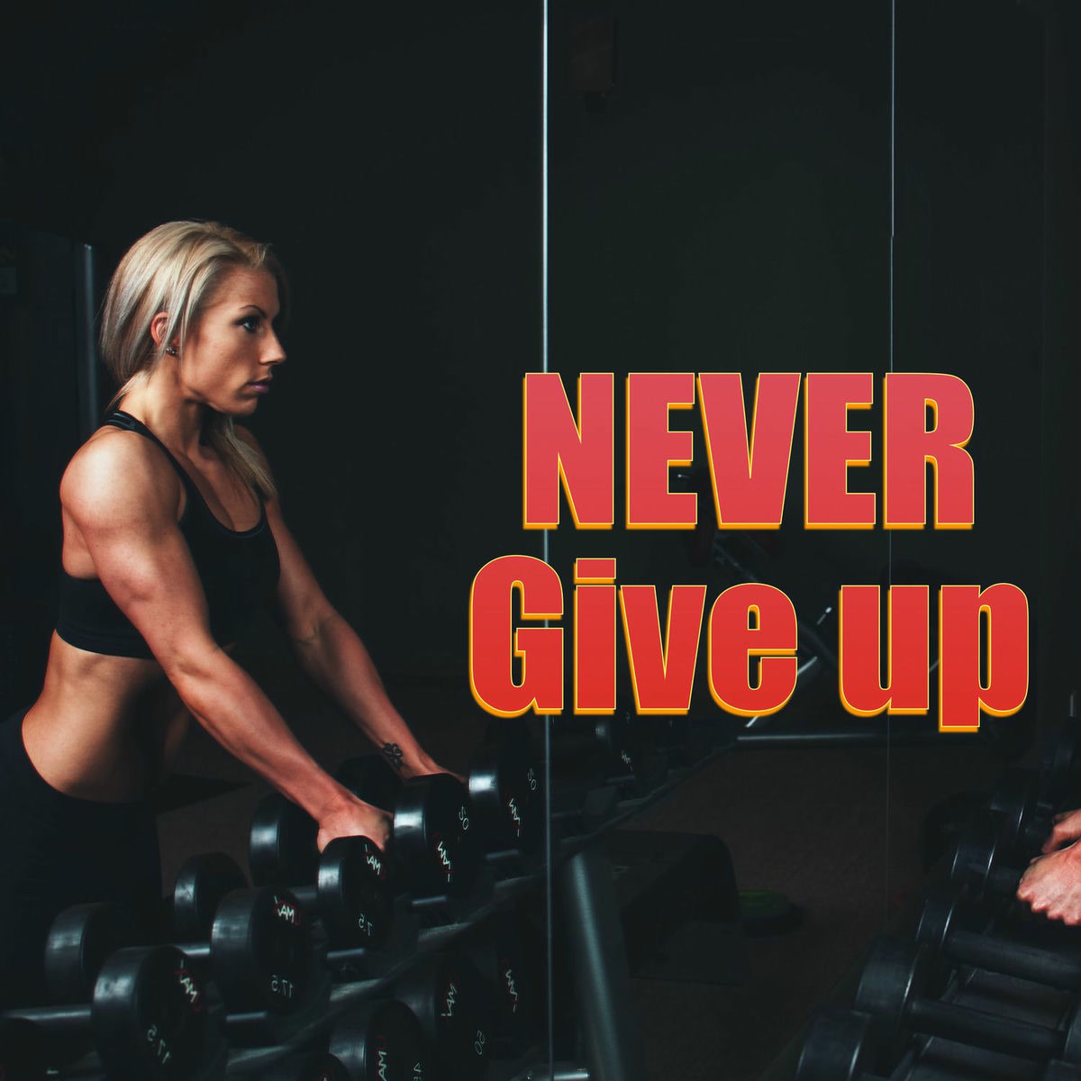 Album cover of Never Give Up