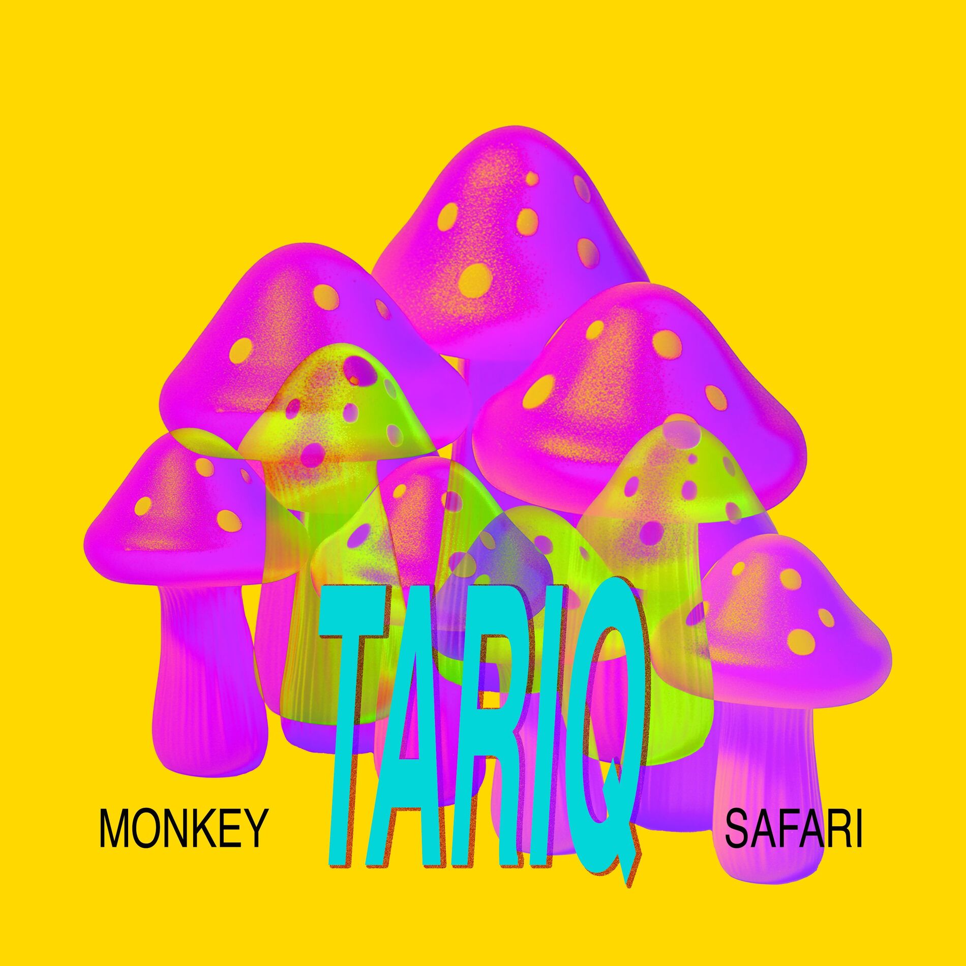 Album cover of Tariq