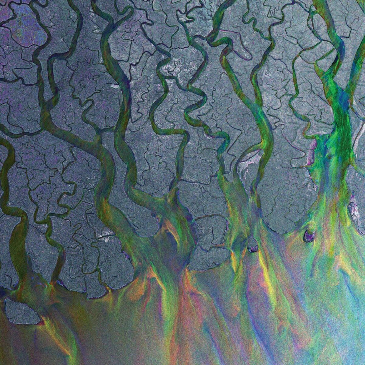 Album cover of Intro