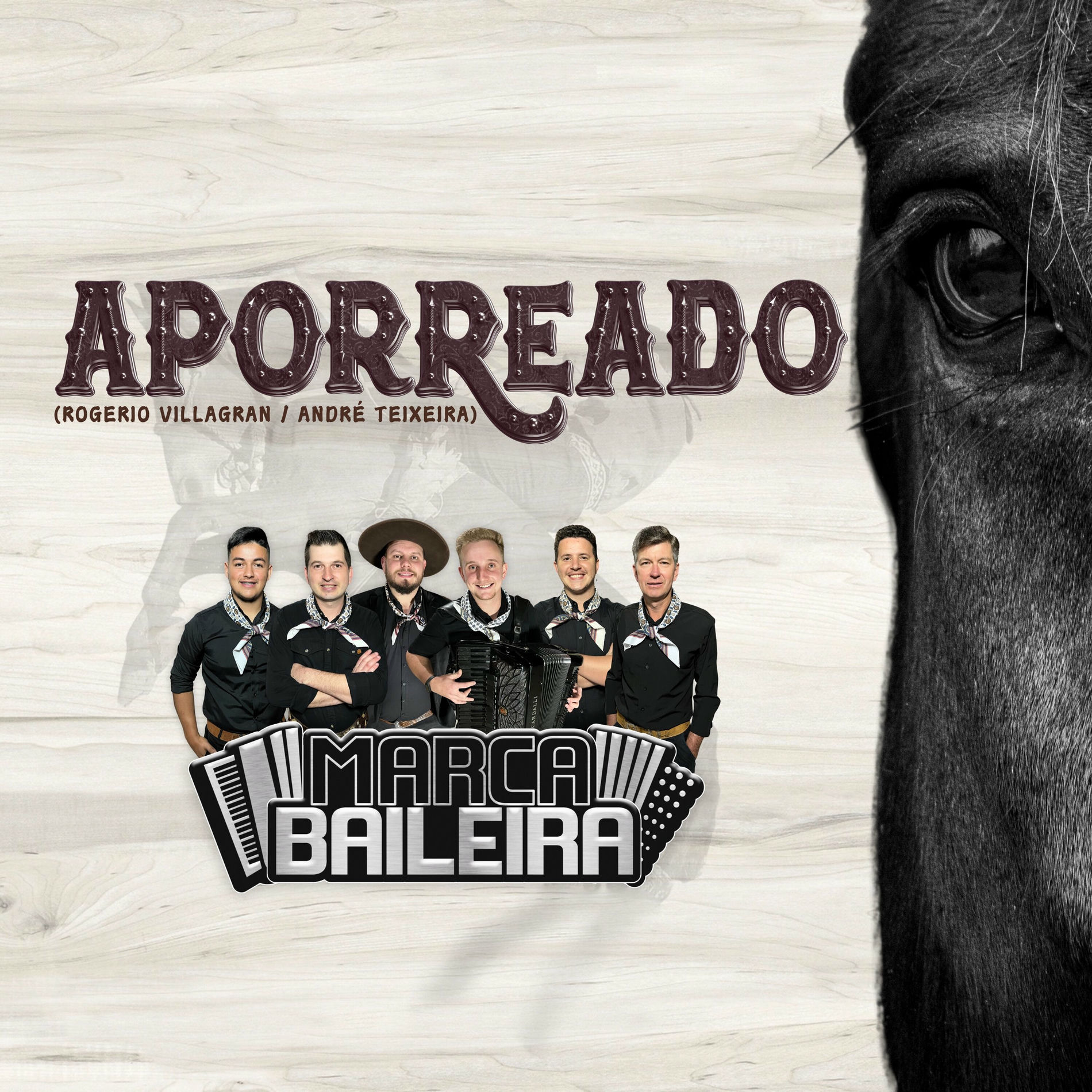Album cover of Aporreado