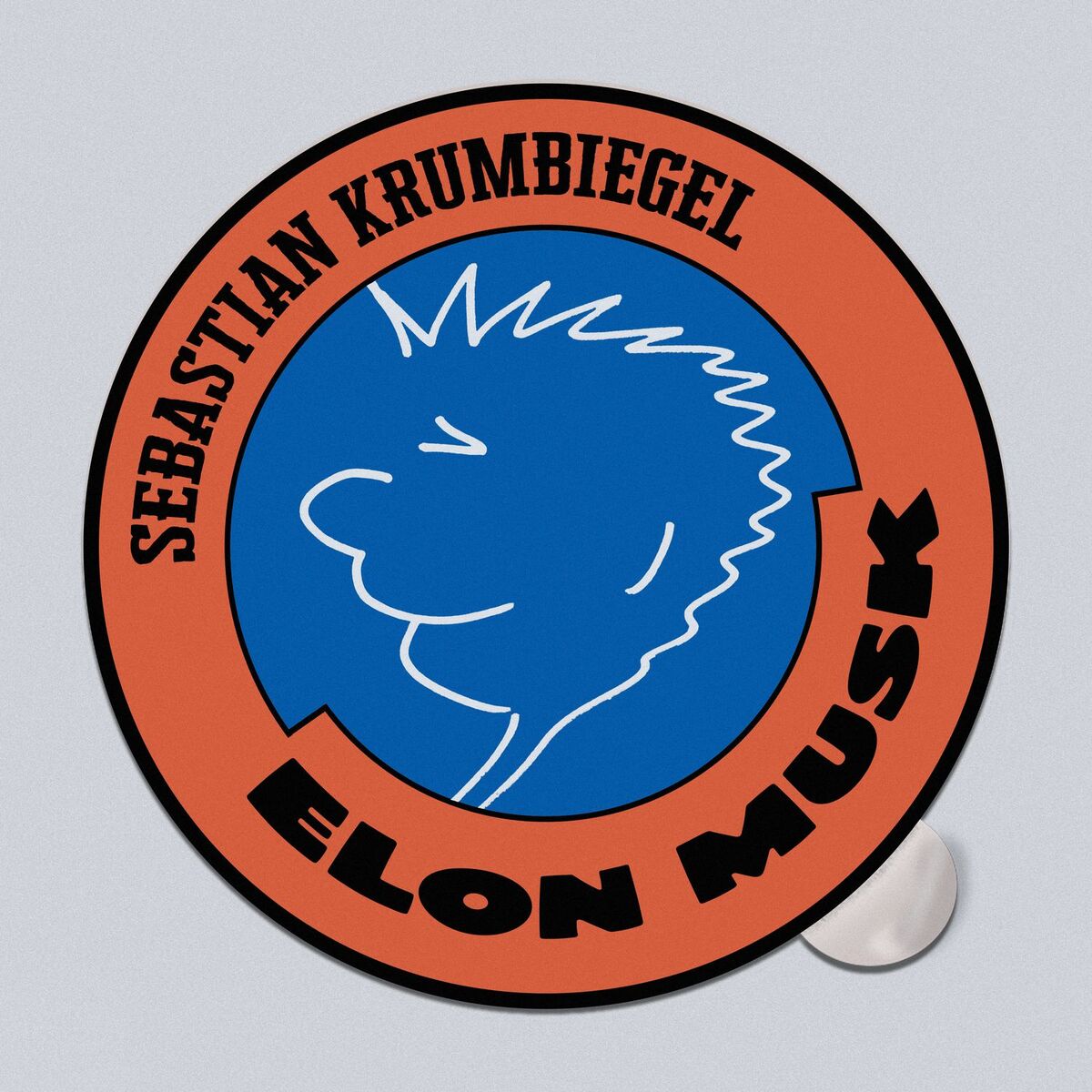 Album cover of Elon Musk (zahl einfach deine Steuern!)