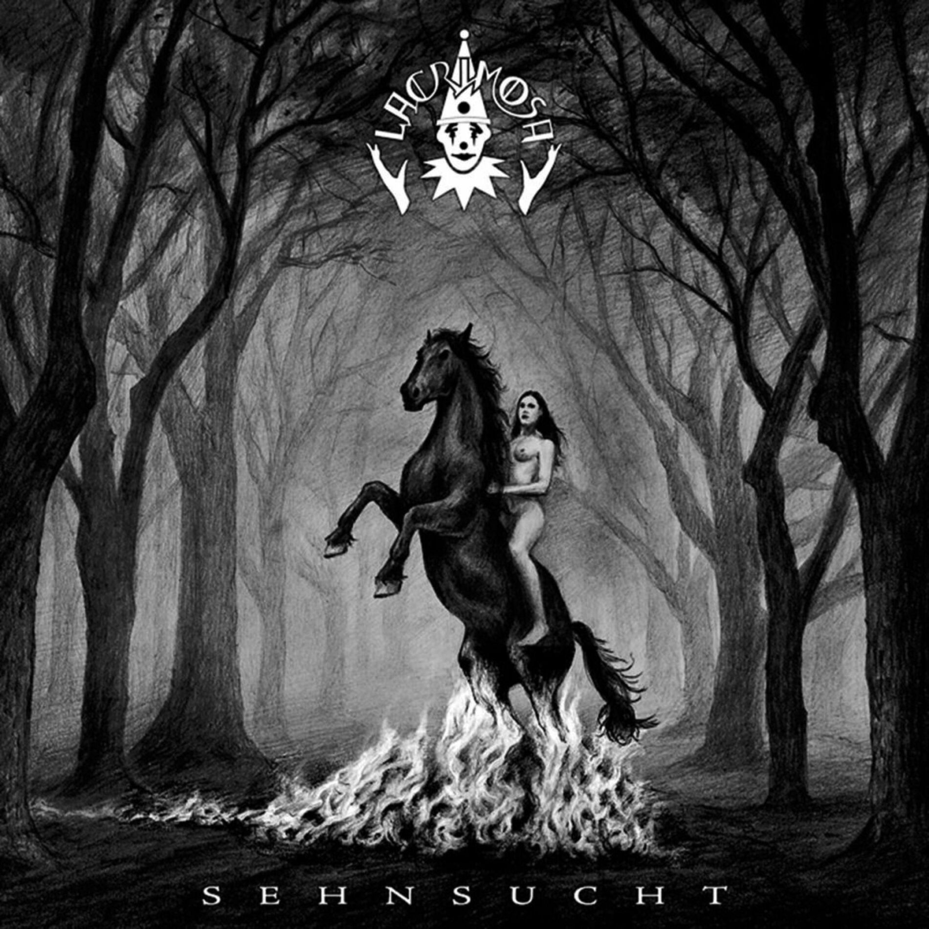 Album cover of Die Sehnsucht in mir