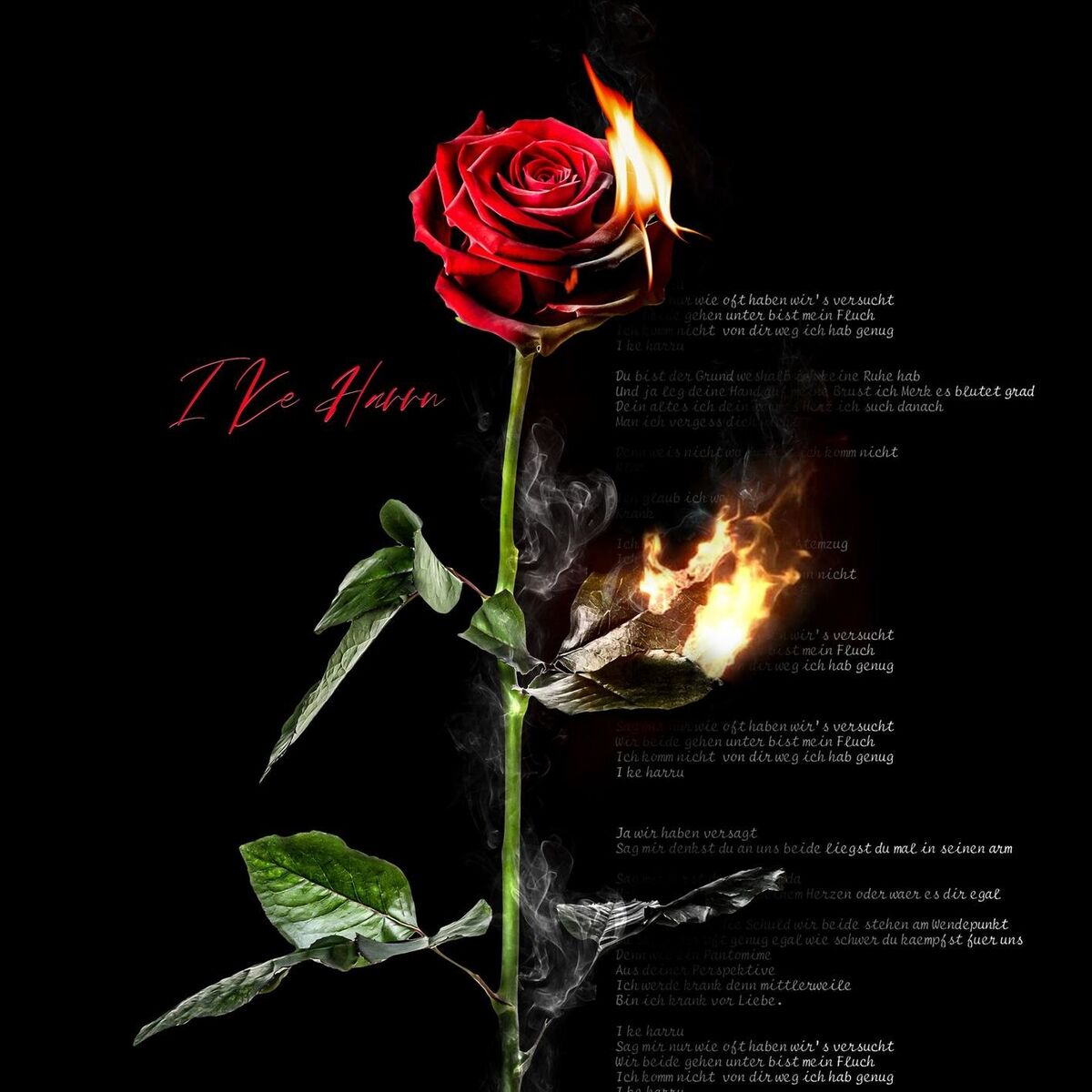 Album cover of I Ke Harru
