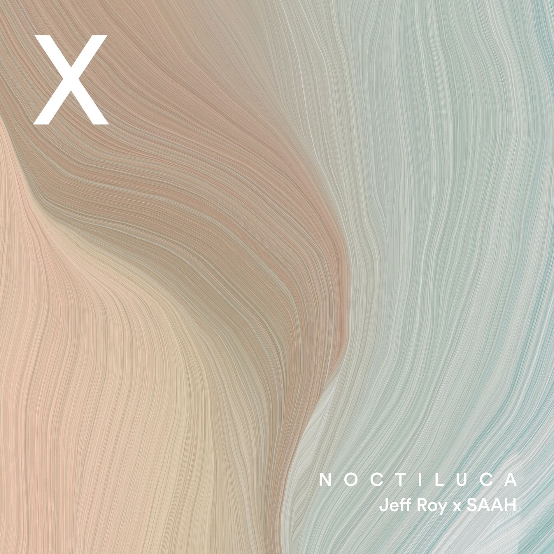 Album cover of Noctiluca