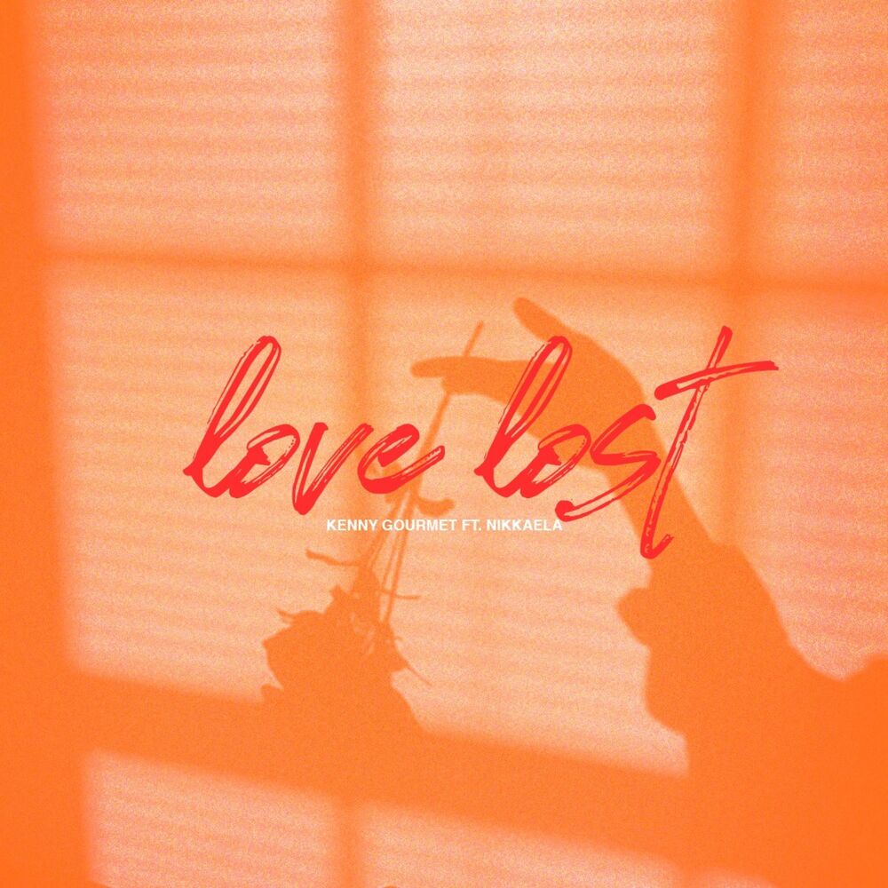 Picture of Love Lost