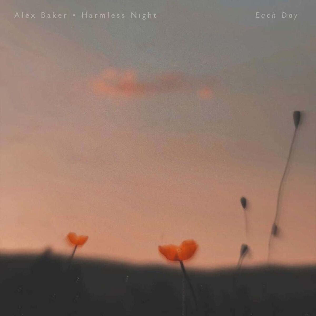 Album cover of Each Day