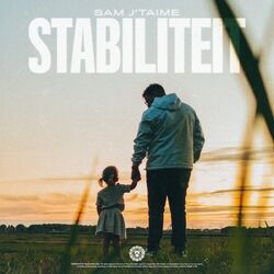 Cover of Stabiliteit