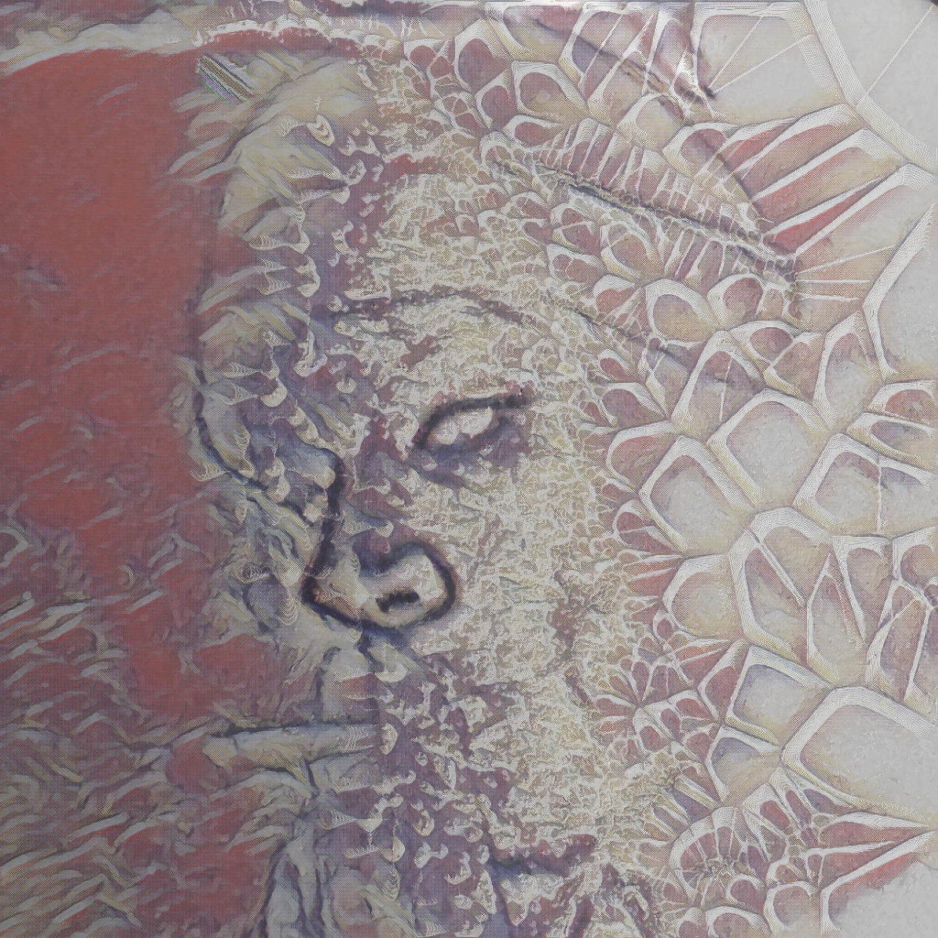 Album cover of Eczema