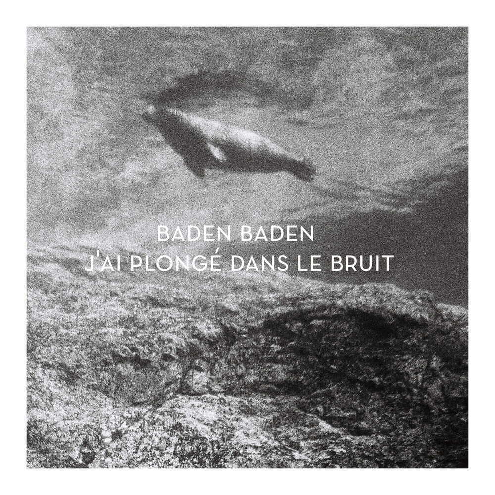 Picture of J'ai plongé dans le bruit